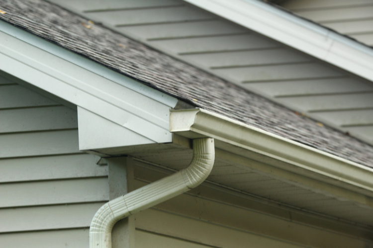 Gutter Services