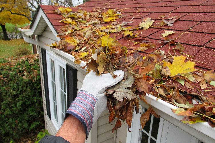 Gutter Maintenance