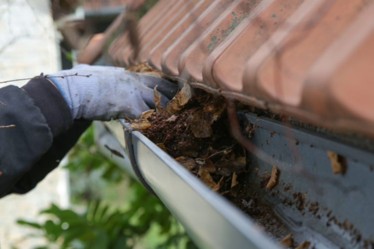 Gutter Repair in Port Charlotte