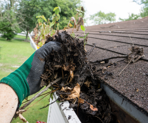 Gutter Cleaning in Southwest Florida