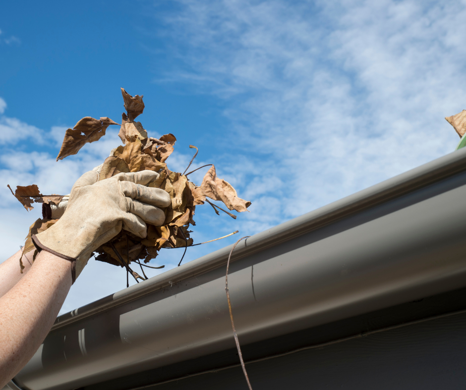 Clean Gutters in North Port
